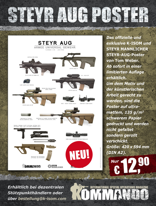 steyraugposter